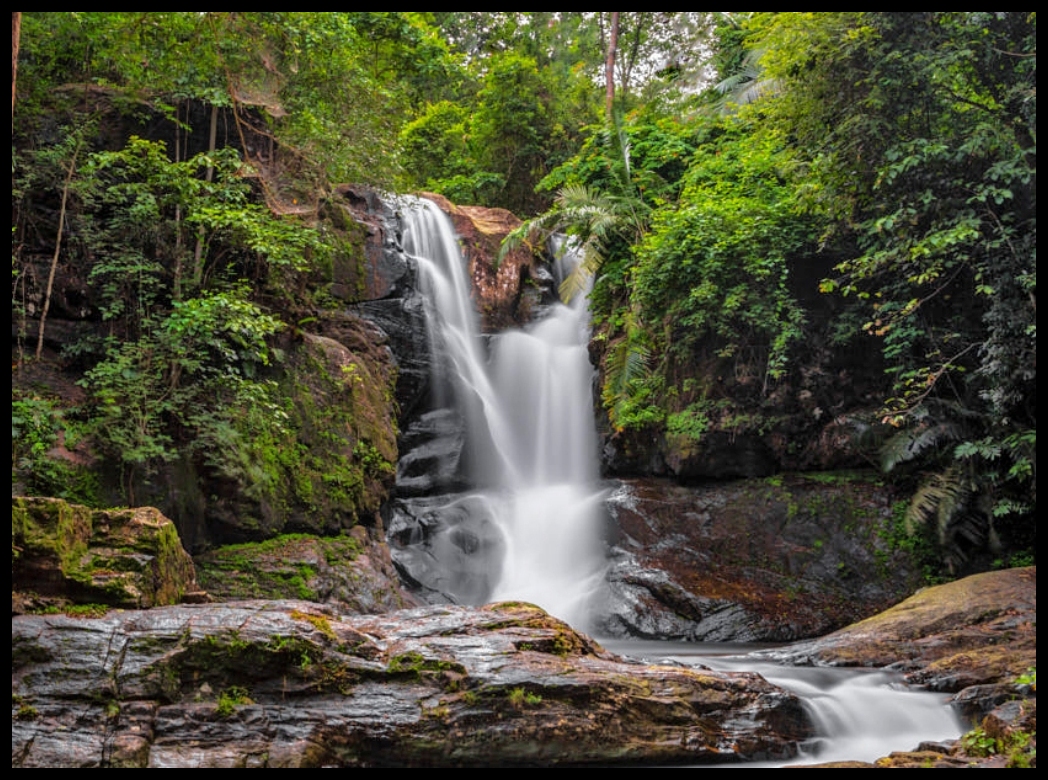 Ponmudi Hill Station